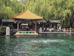 -金春禧(世茂国际广场店)