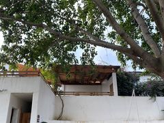 -悦哉·派对·草坪婚礼·围炉煮茶(三圣乡店)