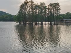 -东湖食堂·湖景餐厅•会议