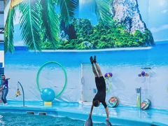 -尼莫海豚馆