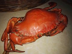 -海峡水产品交易中心(海鲜交易区)