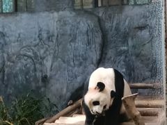 -深圳野生动物园