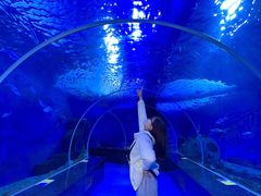 -多彩贵州城极地海洋世界