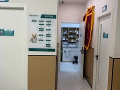 -瑞派康怡24h宠物医院·犬猫医疗中心·微创绝育(瑞景分院)