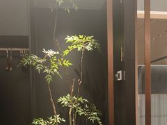 -浩运·海鲜青岛菜·海胆水饺(石老人店)