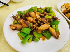 酱爆墨鱼仔-奥华餐厅·老张记(台基厂店)
