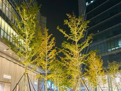 -北京SKP
