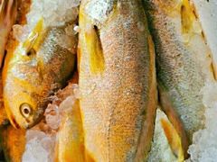 -胜海大排档·海鲜·黄鳝饭(十年老店)