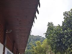 -野象谷景区
