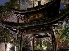 -西湖游船