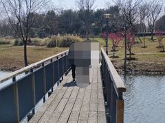 -长广溪湿地公园