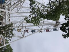 -上海野生动物园