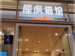 -屋虎猫馆(宝安大仟里店)