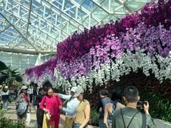 -石家庄市植物园