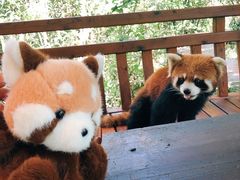-岩保农家乐