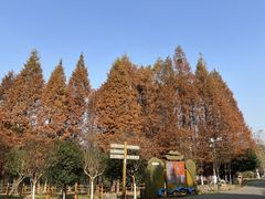 -天生桥景区