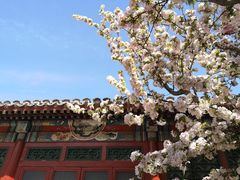 -海棠花溪(元大都城垣遗址公园)