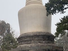 -大觉寺-停车场