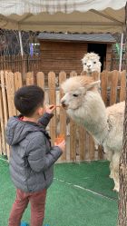 -萌宠亲子动物乐园(槐房万达店)