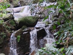 -火炉山森林公园