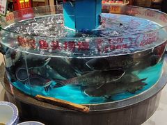 -魏铭鱼头捞饭(晋阳路店)