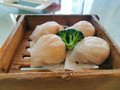 龙的至尊虾饺皇-龙的酒楼·手工早茶·顺德菜(近良路店)