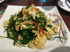 -清真·老兰家(兴善寺西街总店)