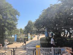 -青岛第一海水浴场