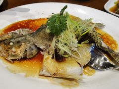 清蒸桂花魚-香山家宴