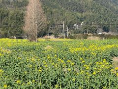 -仙霞关景区