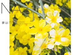 -陕西师范大学(雁塔校区)
