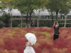 -映月湖中央公园