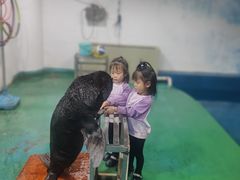-嘉兴海底世界