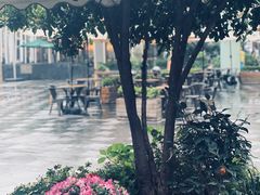 -PETIT PARIS 小巴黎(花园道店)