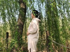 -田园东方蜜桃村的田野营地