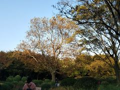 -八大关景区