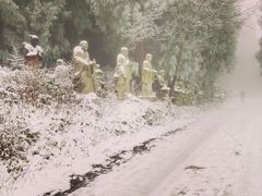 -武陵山森林公园