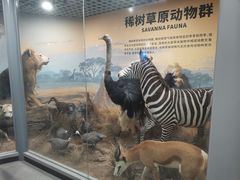 -山东省科技馆(新馆)