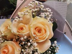 -循礼门鲜花花市(武汉循礼门店)