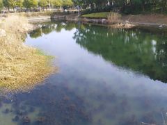 -美兰湖景区