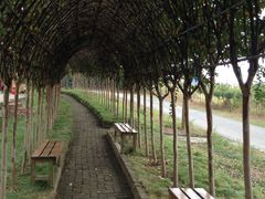 -武汉紫薇都市田园