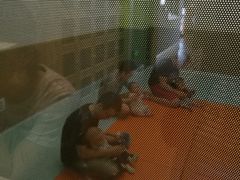 -小象润知早教·托育·幼儿园成长中心