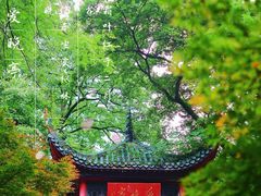 -岳麓山风景名胜区