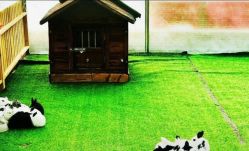 -萌宠亲子动物乐园(槐房万达店)