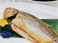 -红棉中餐厅·广州海航威斯汀酒店