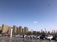 -丁香湖公园