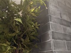 -华夏良子·足道·SPA·艾灸(苏州桥店)