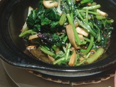 -小放牛炒菜馆(裕华万达店)