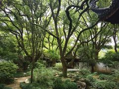 -上海醉白池公园
