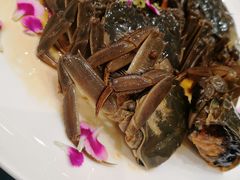 -新光酒家·河豚·海鲜·蟹料理(浦东店)